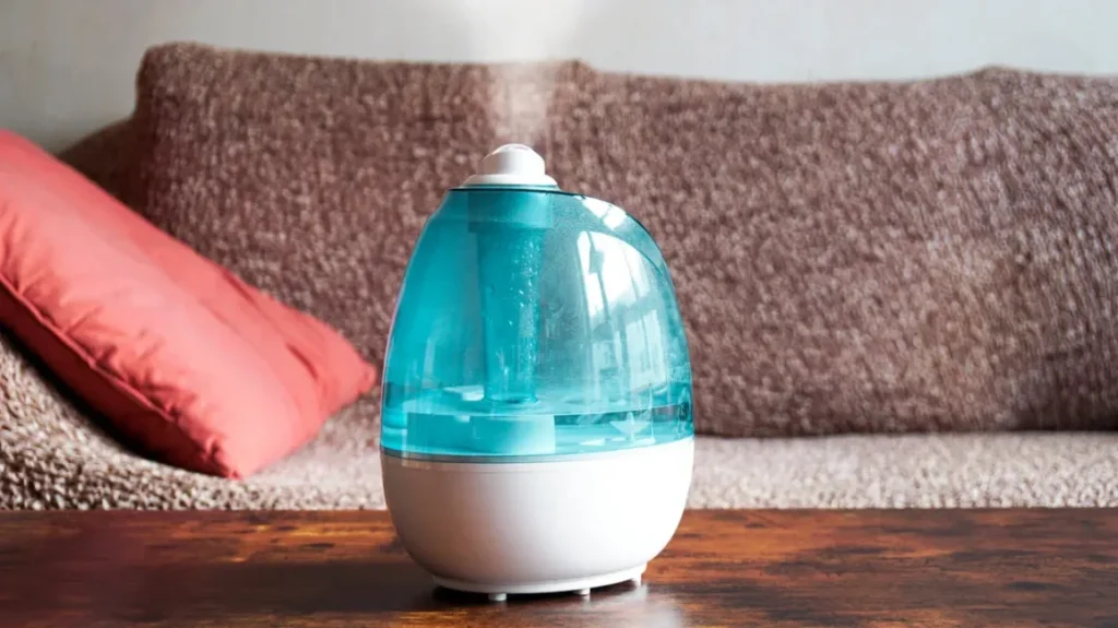 What is a Humidifier Used For