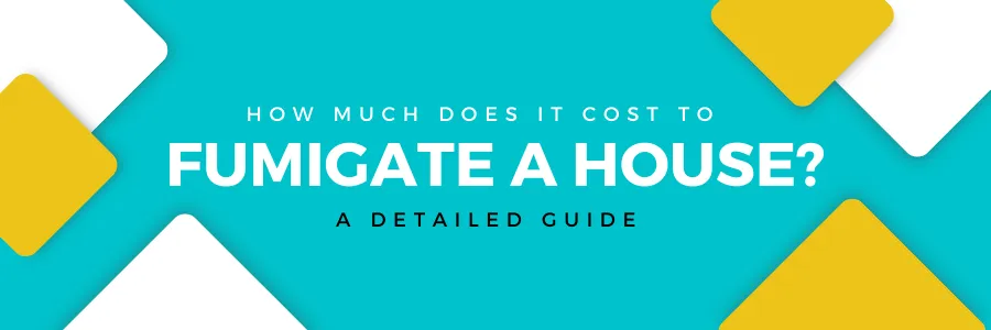 How Much Does It Cost to Fumigate a House?