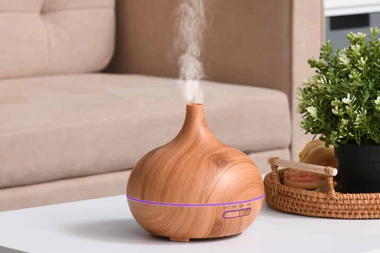What is a Humidifier Used For